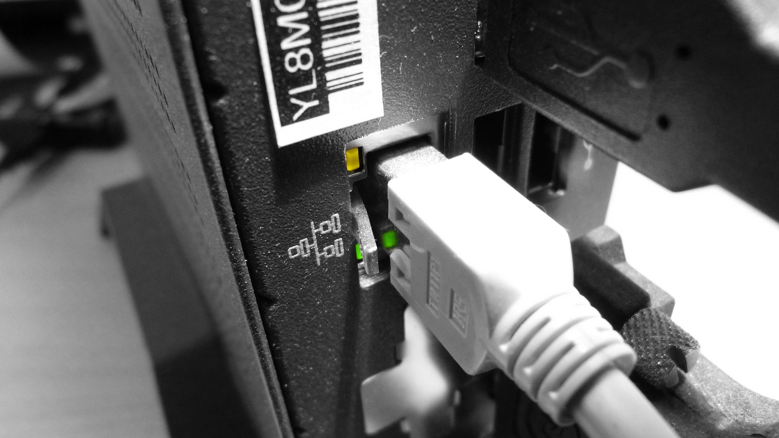 Netzwerkstecker an Thin Client